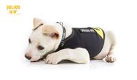 IDC Neoprene Honden Jas - Maat XL - thumbnail