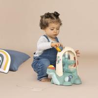 LS kogelschildpad - thumbnail