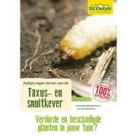 Ecostyle aaltjes tegen larven taxus-kever H 10 m² - thumbnail