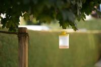 Kerbl Vliegenval flycage3 - thumbnail