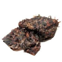 Buteo Photo Gear BPGCN1 Camouflagenet 1 Coloured Leaf - thumbnail