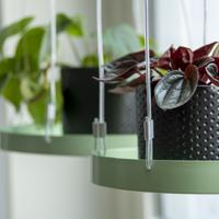 Esschert Design plantenblad hangend rond s groen - thumbnail