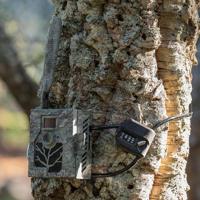 Zeiss Kabelslot met code Secacam - thumbnail