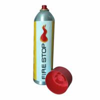 spuitbus brandblusser Bricotech 600 ML - thumbnail