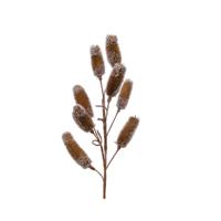 Spray naturel l30b6h70 cm naturel Everlands - Everlands - thumbnail