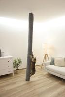 Kerbl Pet Klimzak Carpet, f. katten, grijs, 16x16x240 cm - thumbnail