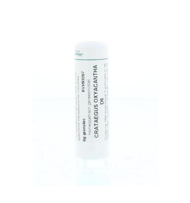 Homeoden Heel Crataegus oxyacantha D6 6 Gram