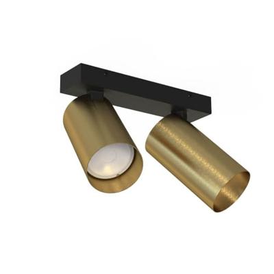 Lyora Gouden opbouwspotMono 2-lichts kantelbaar - 7782