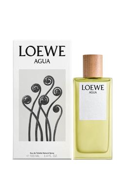 Loewe Agua Eau de toilette Spray 100 ml
