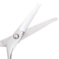 4-delige Hondentrimset roestvrij staal - thumbnail