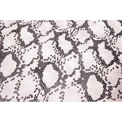 Extreme Buddydek cobra | peugeot speedfight 1 / 2