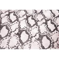 Extreme Buddydek cobra | peugeot speedfight 1 / 2 - thumbnail