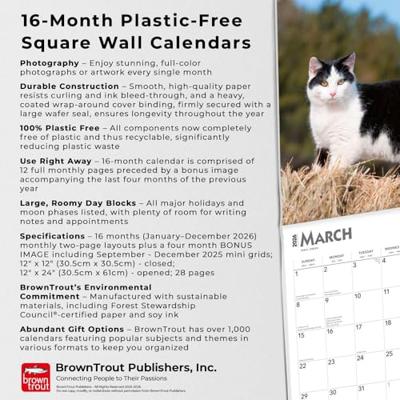 Zwart Wit Katten Kalender 2026 Zwart Wit Katten Kalender 2026