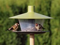 Finch Vogelvoederhuis - groen - thumbnail
