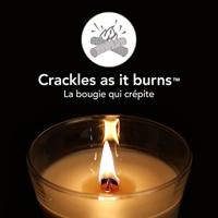 WoodWick Geurkaars Large Wild Berry & Beets - 18 cm / ø 10 cm - Geurkaars in Glas - Houten Lont - thumbnail