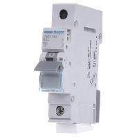 Hager MBN140 Zekeringautomaat 1-polig 40 A 400 V - thumbnail