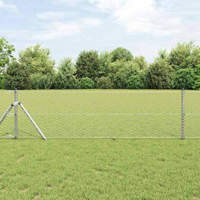 VidaXL Afrasteringspaal zilver 10 x 0,6 m (36 mm gaas) staal