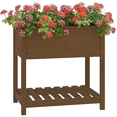 Plantenbak met schap 82,5x54x81 cm grenenhout honingbruin