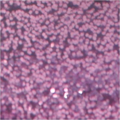 Creativ Company Glitterlijm, paars, 25 ml/ 1 fles