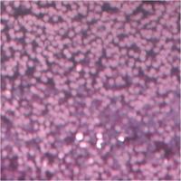 Creativ Company Glitterlijm, paars, 25 ml/ 1 fles - thumbnail