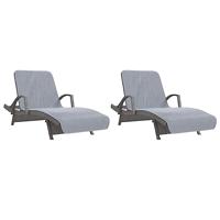 VidaXL Strandhanddoeken 2 st 400 g/m² 75x200 cm stof grijs - thumbnail