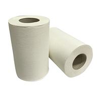 Euro poetspapier minirol 1-laags 120 meter x 20cm (12 rollen) - thumbnail