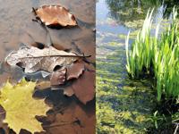 HEISSNER Vijverstofzuiger Basic 3000 L/u - thumbnail