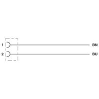 Phoenix Contact 1410750 Sensor/actuator connector, geassembleerd Aantal polen (sensoren): 2 5.00 m 1 stuk(s) - thumbnail