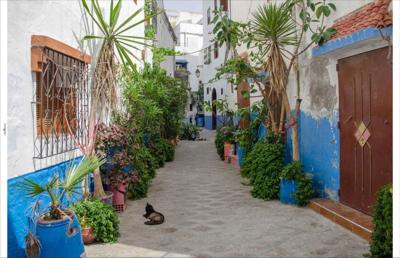 Tuindoek marokko 210x140cm Customize-it - Customize it