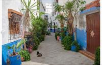 Tuindoek marokko 210x140cm Customize-it - Customize it - thumbnail