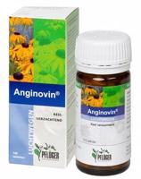 Pflüger Anginovin 100 Tabletten - thumbnail