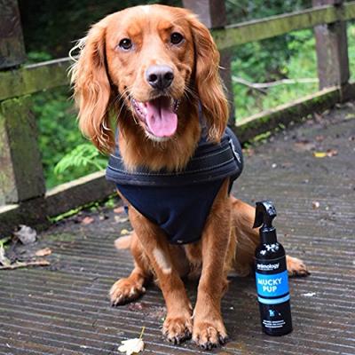 VERSELE-LAGA NUTRIBIRD LORI 700 GR