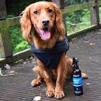 Animology Mucky Pup No Rinse Shampoo - thumbnail