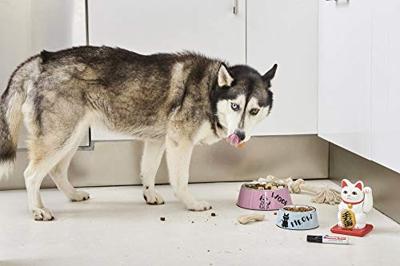 Edding stift 500 zwart 2-7mm blokpunt