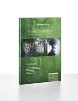 P14271/25 - thumbnail