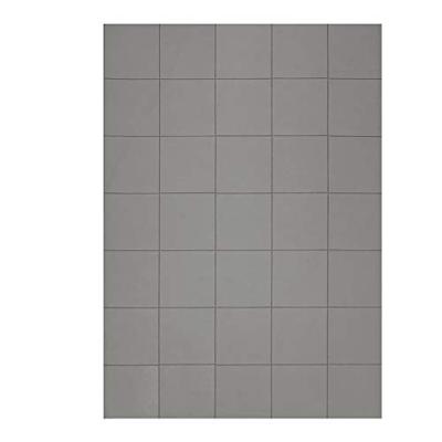 magnetoplan Magneetplaat (l x b x h) 20 x 20 x 0.75 mm Vierkant 60 stuk(s) 15502