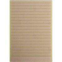 Rademacher WR-Typ 946 Testprintplaat Hardpapier (l x b) 160 mm x 100 mm 35 µm Rastermaat 2.54 mm Inhoud 1 stuk(s) - thumbnail