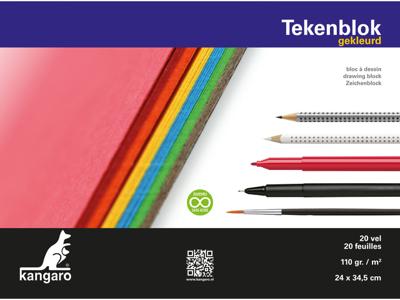 Kangaro tekenblok A4+ 110 gram 20 vel gekleurd