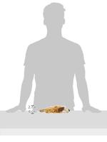 TRIXIE HOND MET TOUW VAN STOF / PLUCHE MET GELUID 30 CM 3 ST - thumbnail