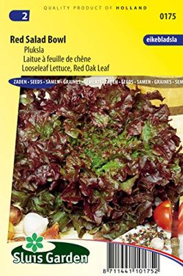 Pluksla zaden - Red Salad Bowl - thumbnail