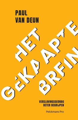 Het gekaapte brein (Paperback)