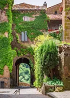 Alexsar Art Tuinschilderij groen pleintje 70x50cm - thumbnail