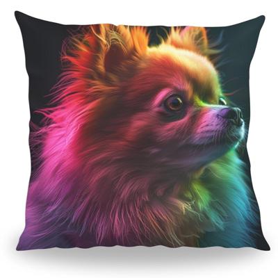 Kussen - Huisdier Portret - Pomeriaan 1 Color - Pillow Buddies
