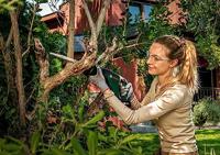 Bosch Accessories 2609256703 Reciprozaagblad HCS, S 1542 K Zaagbladlengte 240 mm 2 stuk(s) - thumbnail