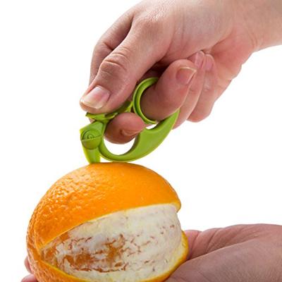 Zesty Fruitrasp En -Schiller Zesty Fruitrasp En -Schiller