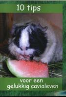 10 Tips Voor Een Gelukkig Cavialeven - Paperback (9789490902148) - thumbnail