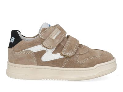 Develab 45265 - alle