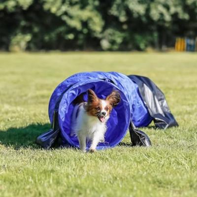 Trixie dog activity agility basis tunnel blauw - thumbnail