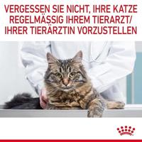 Royal Canin Urinary Care natvoer kat (in gelei) 2 dozen (24 x 85 g) - thumbnail