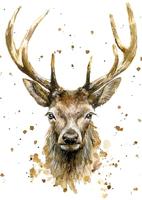 Bree Merryn Stag Notitieboek - thumbnail